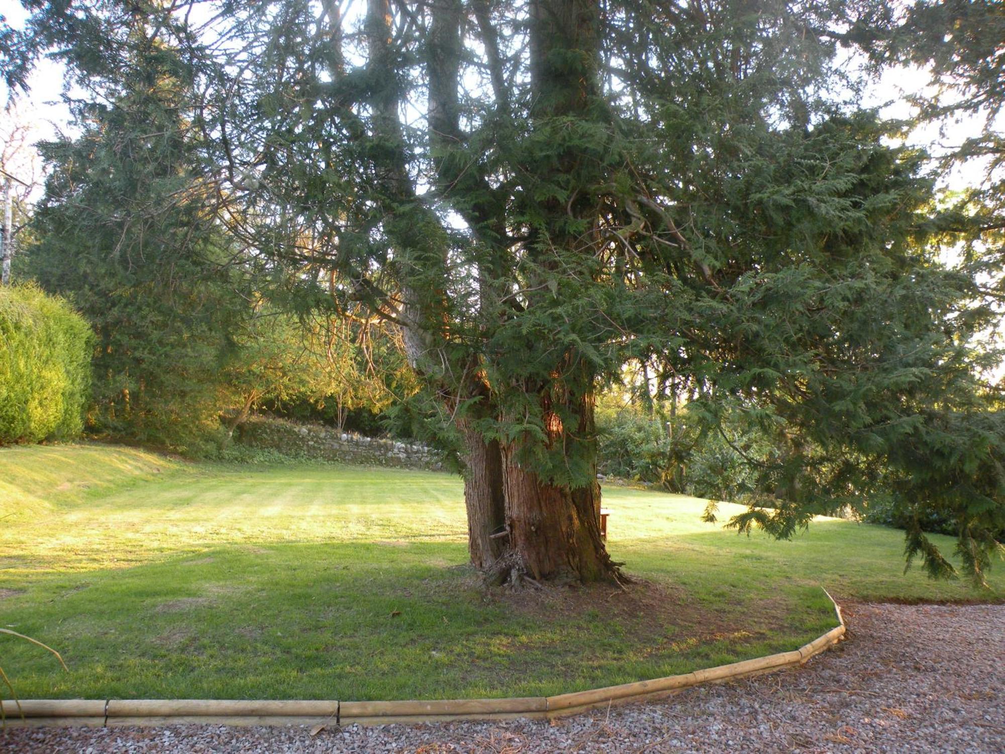 Thistle House Guest House Saint Catherines Exterior photo