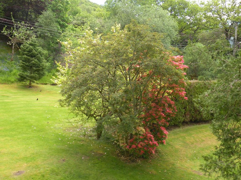Thistle House Guest House Saint Catherines Room photo